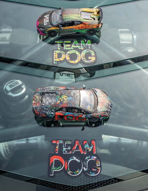 Pack 2 Pogmobiles 1/24ème – Image 2